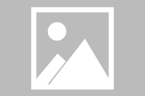 开云赛事集团-全红婵因伤缺席亚运选拔赛，或无缘出战9月举行的亚运会 陈芋汐继续搭档卢为出战女子10米台|世界游泳联合会|女双|参赛|名古屋|爱知